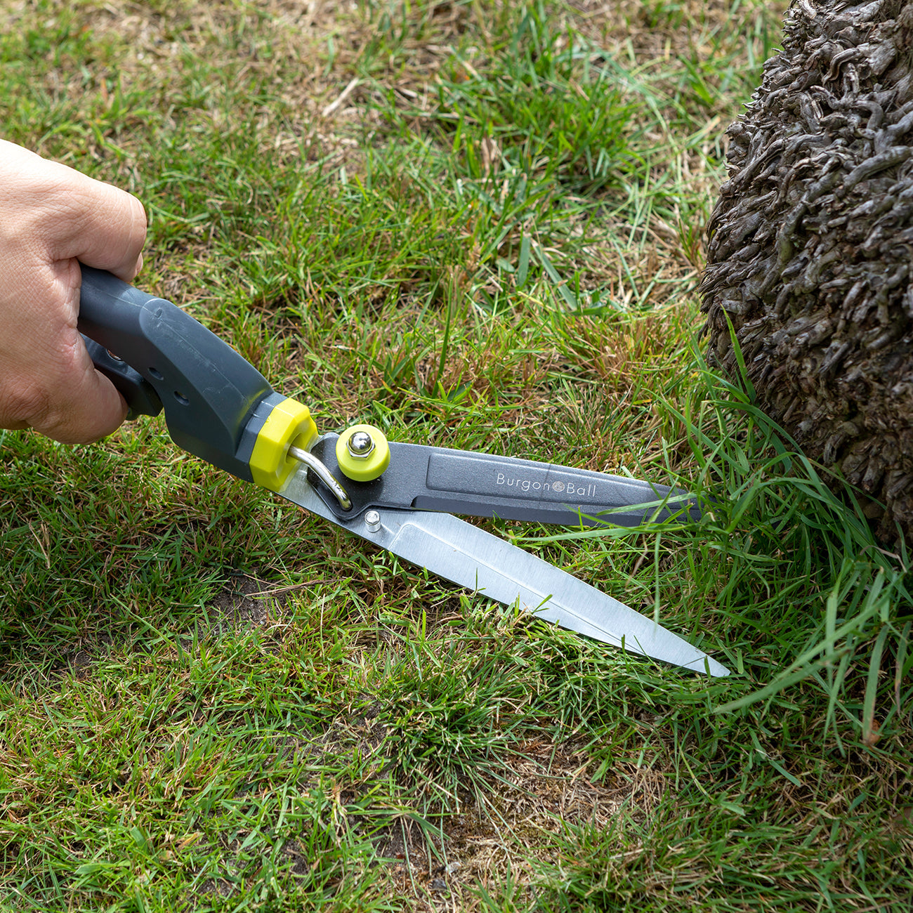 Trimming Lawn with Burgon & Ball RHS Single Handed Grass Shear