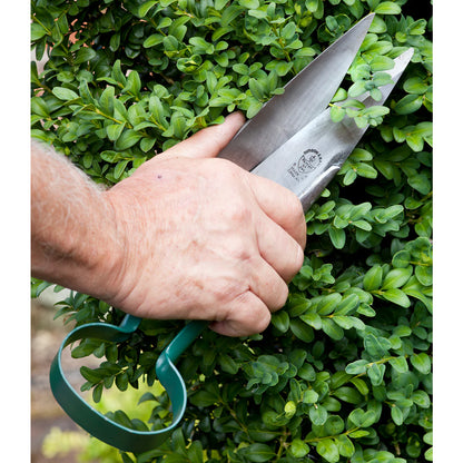 RHS Topiary Trimming Shears Hedge, Large