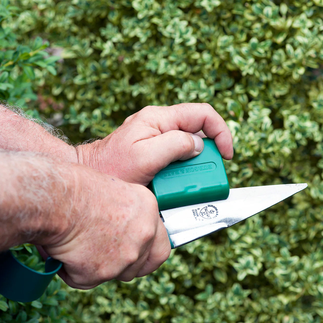 Garden Topiary Trimming Shear Sharpener