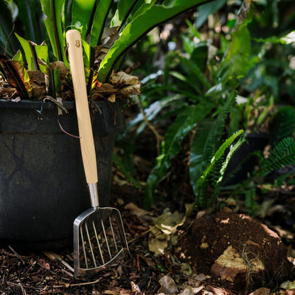 Garden Tool for Harvesting Potatoes