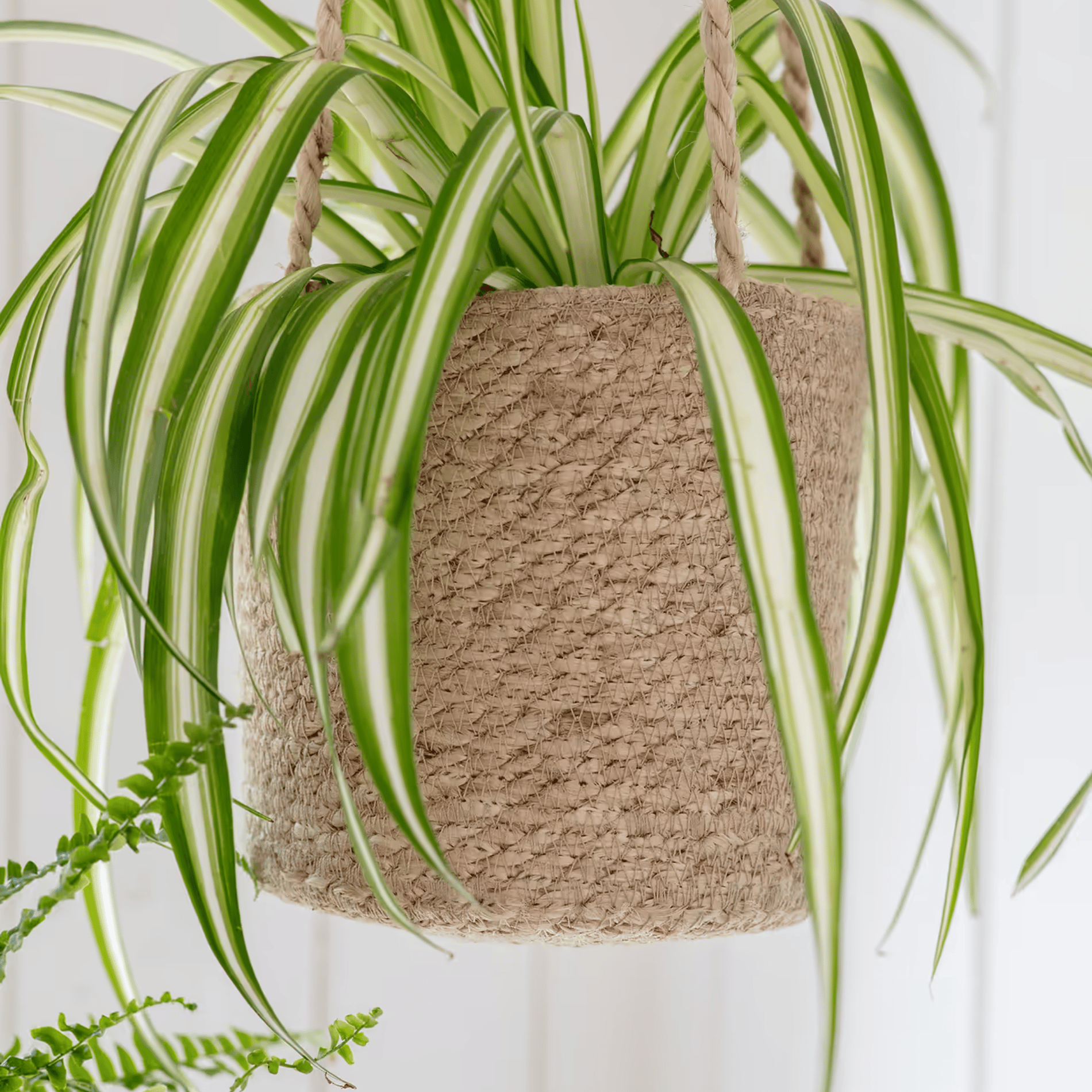 Garden Trading Tall Woven Hanging Pot Jute