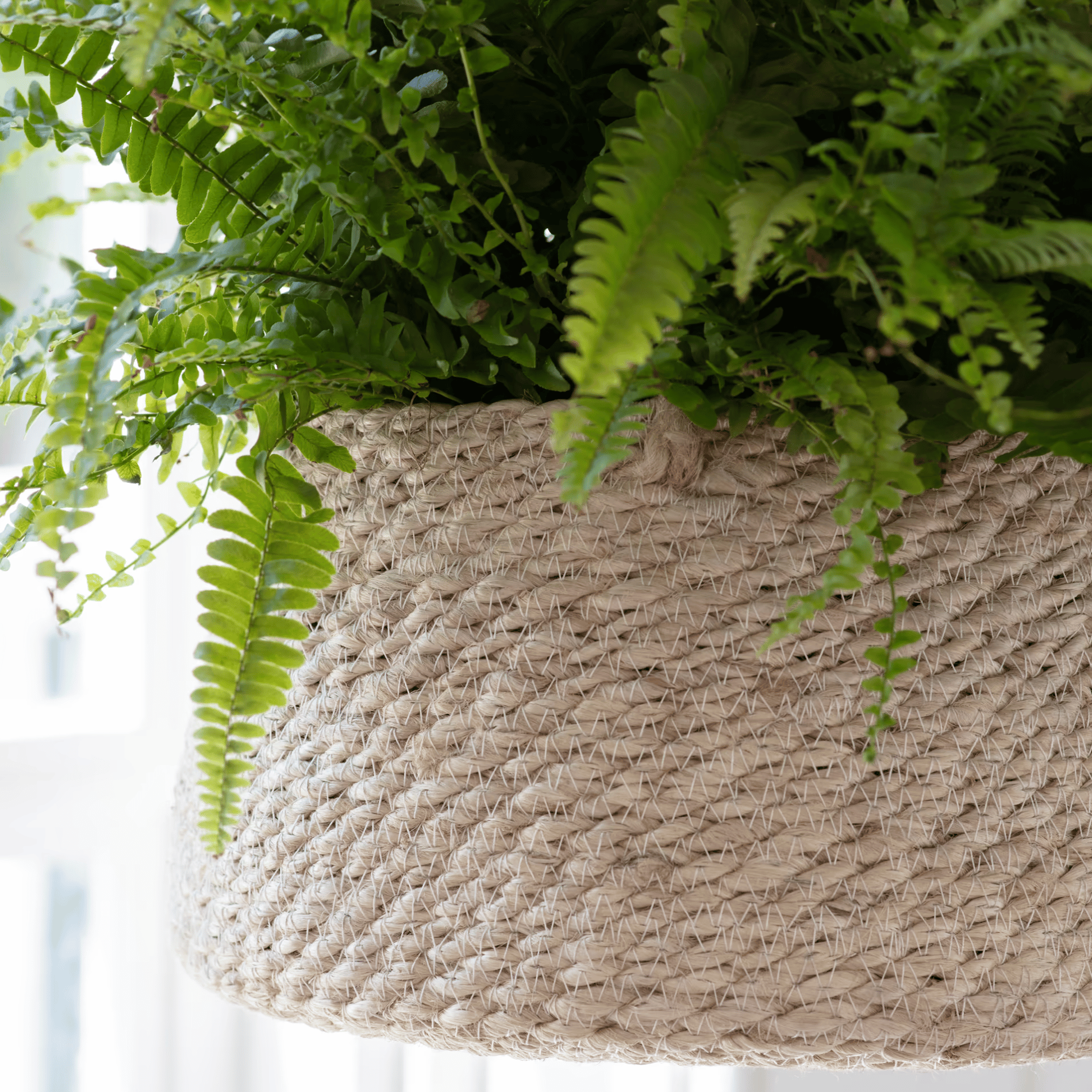 Garden Trading Tapered Woven Hanging Pot Close