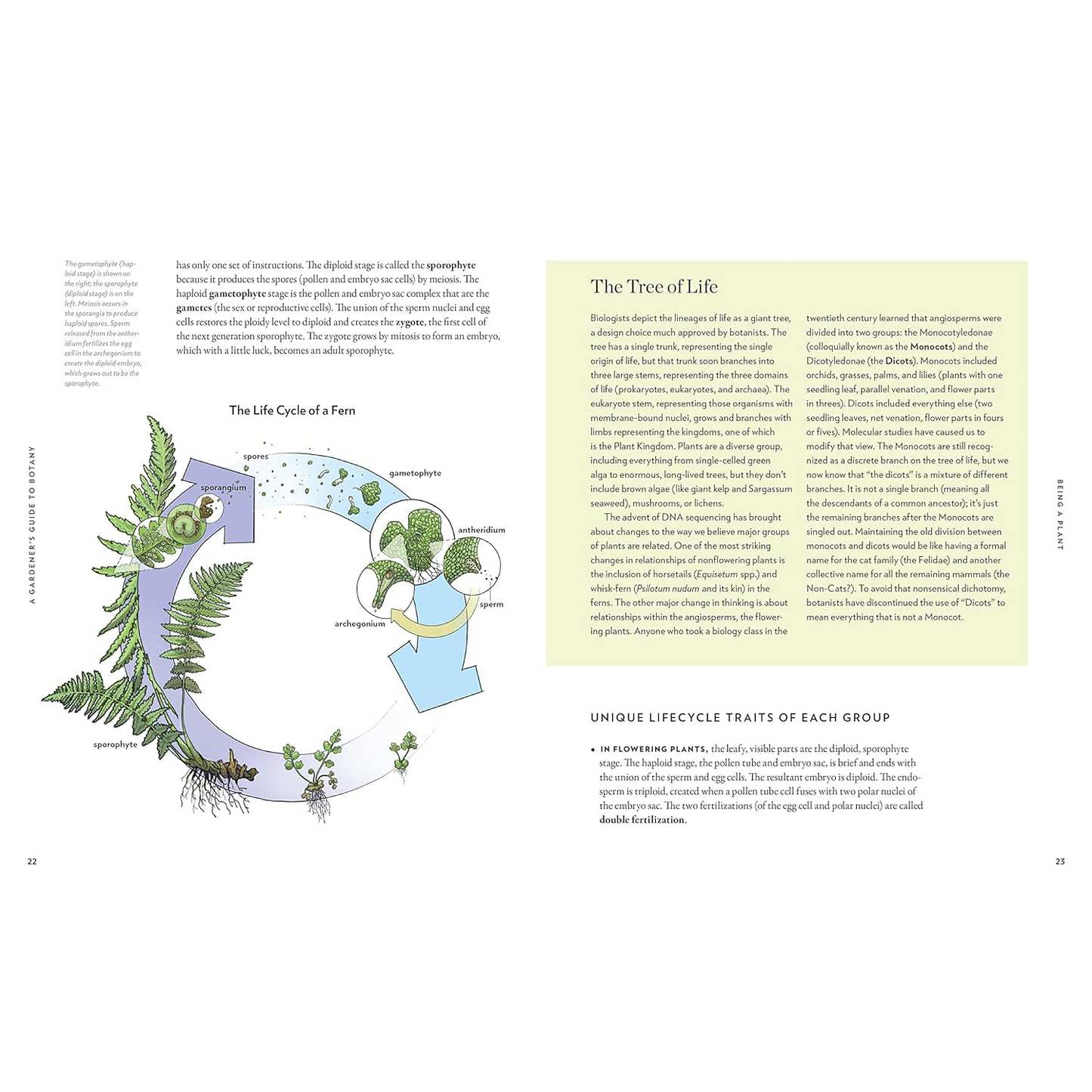 A Gardener’s Guide to Botany - Tree of Life