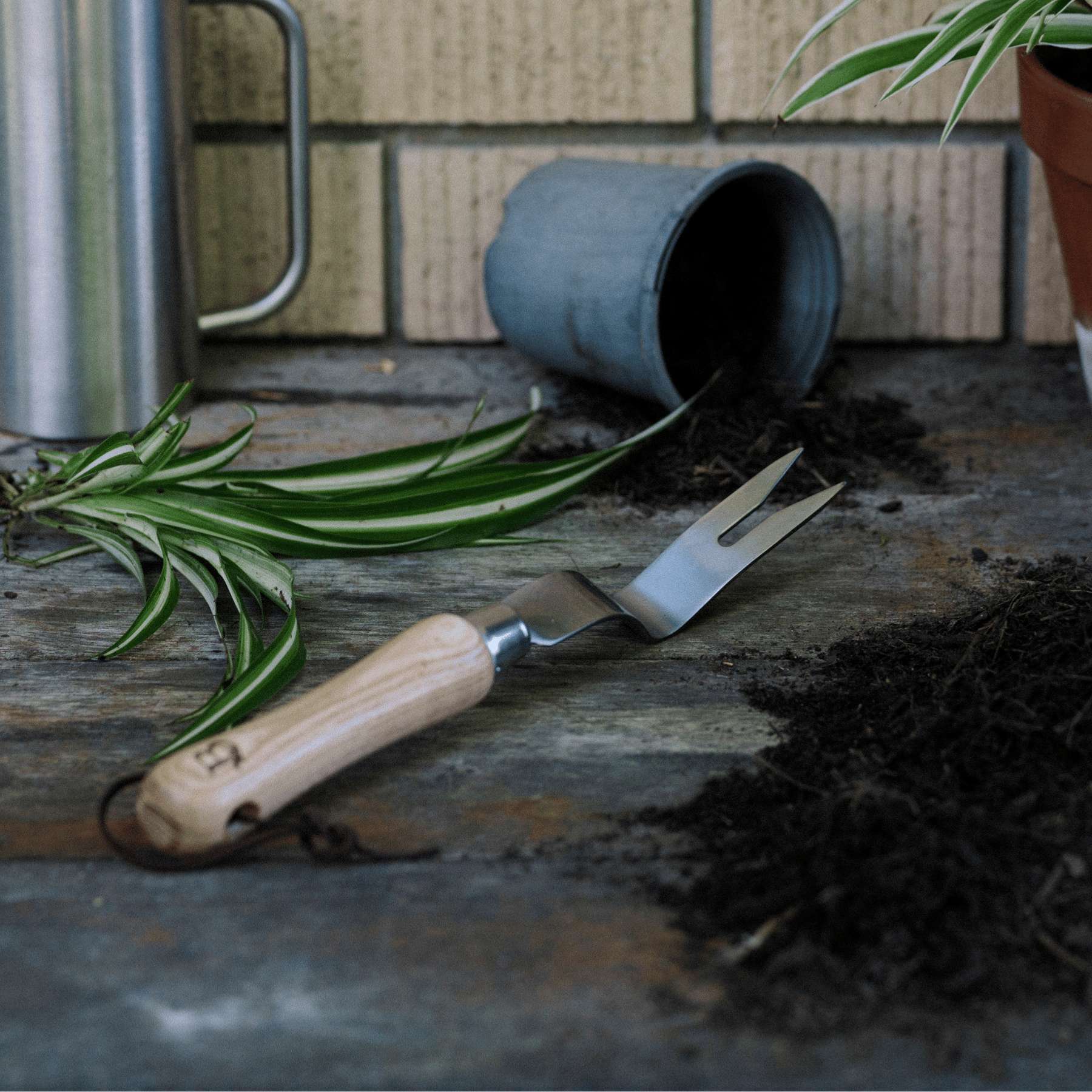 Dandelion Weeding Fork with 'B' Engraving on Potting Bench