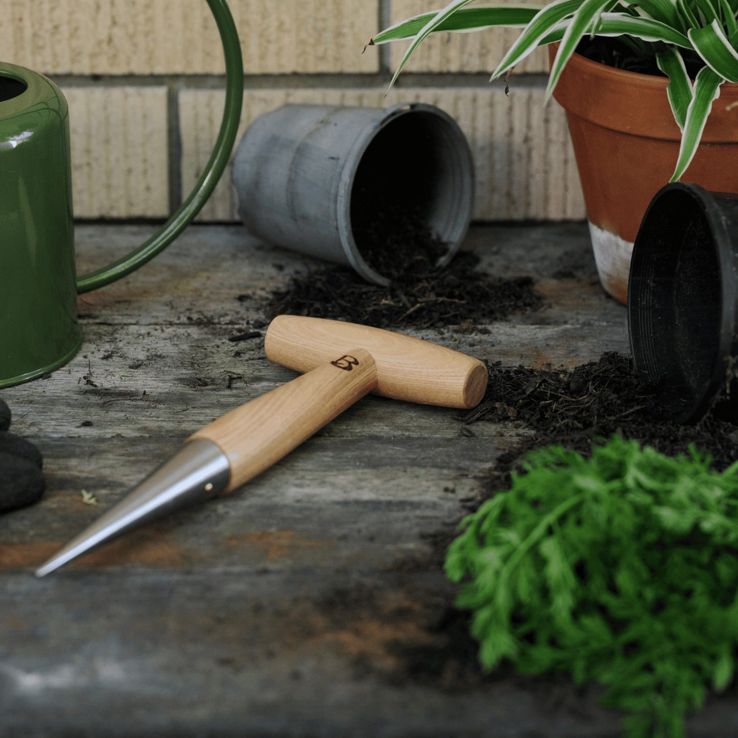 Traditional Garden T-Shaped Dibber on Potting Bench
