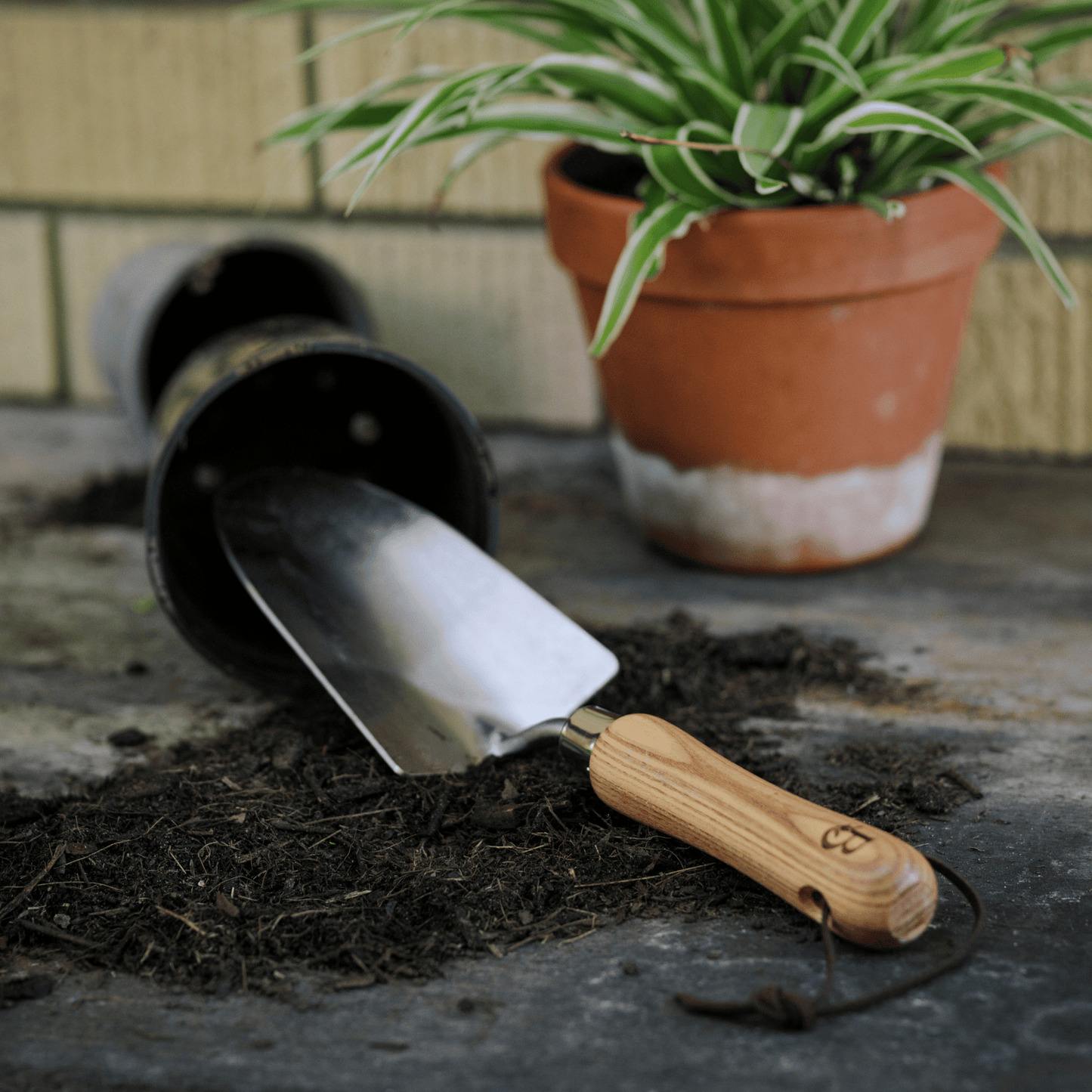 Trowel with wooden handle on soil next to a potted plant.