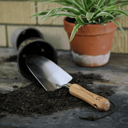Trowel with wooden handle on soil next to a potted plant.