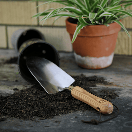 Trowel with wooden handle on soil next to a potted plant.
