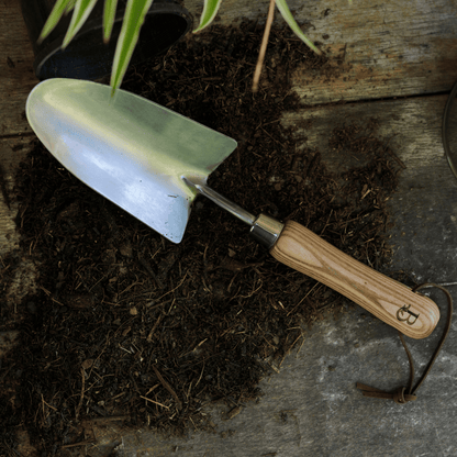 Trowel with wooden handle on soil against a rustic background.