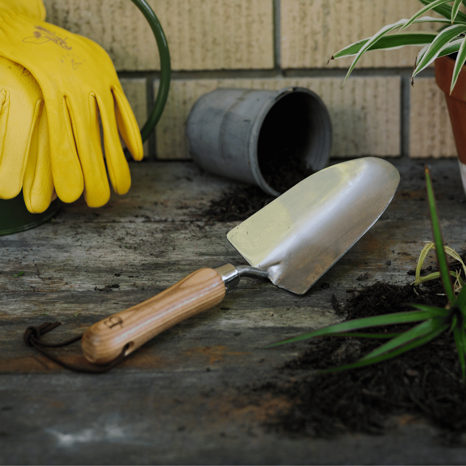 'Get Growing' Gardening Hand Trowel on Potting Bench