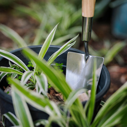 Get Growing Mid-Handled Garden Trowel Blade
