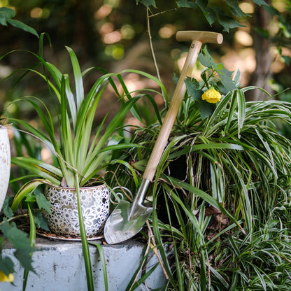 'Get Growing' Mini Gardening Spade for Tight Spaces