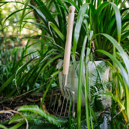 Get Growing Potato Harvesting Scoop