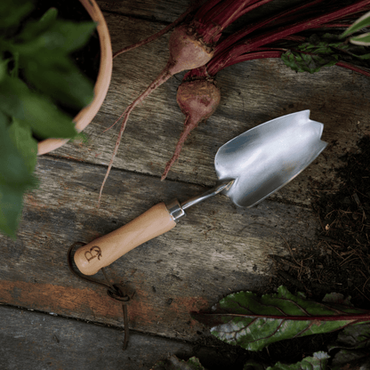 Small hand trowel with serrated edge on potting bench.