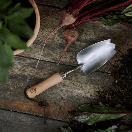 Small hand trowel with serrated edge on potting bench.