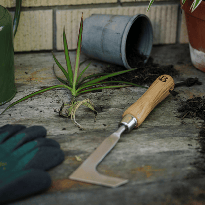 Backyard Botanist Weeding Knife on Potting Bench