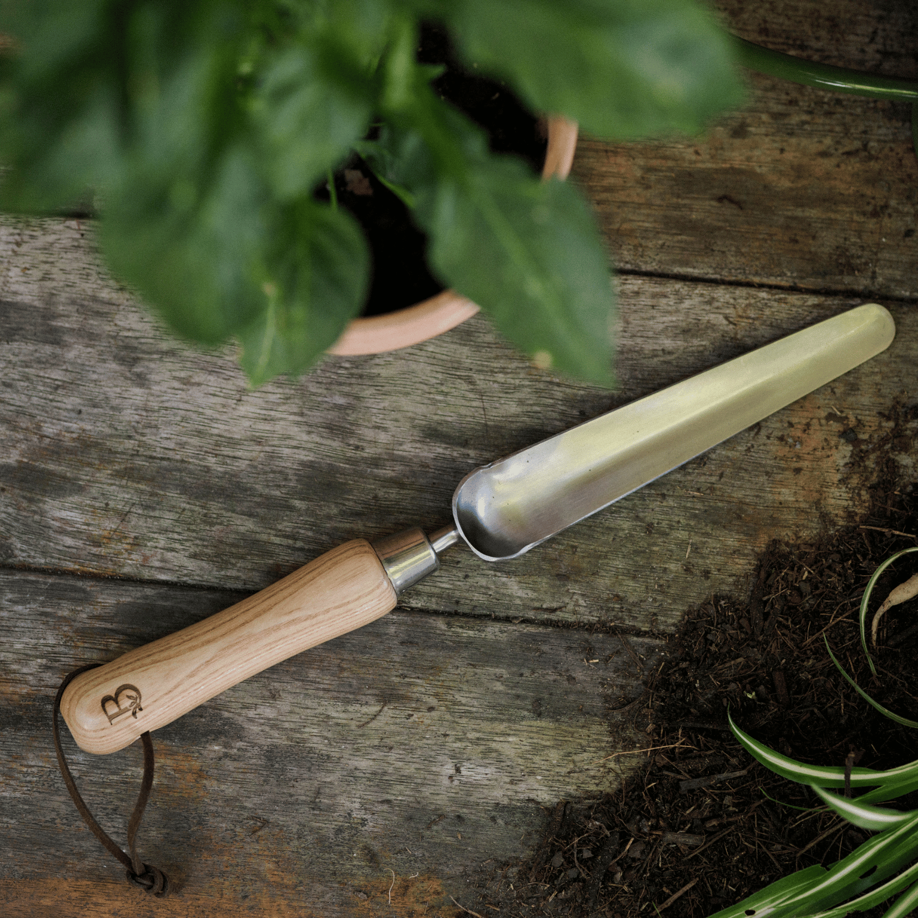 Garden Widger Tool on Potting Bench