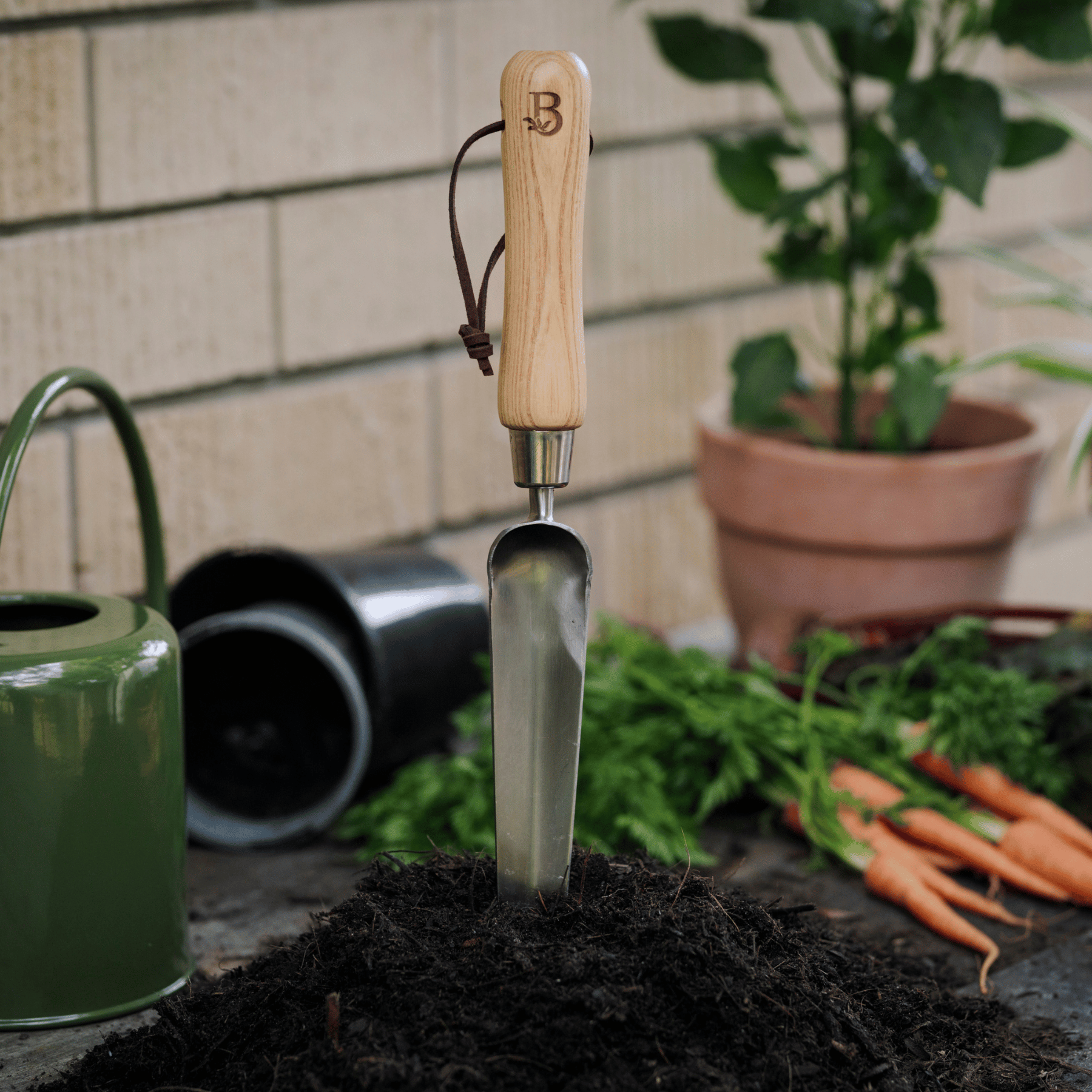 Garden Widger Tool in Soil