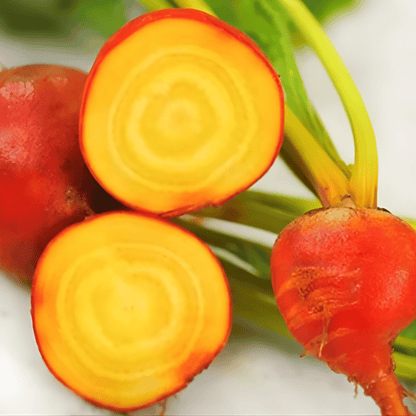 Golden Beetroot