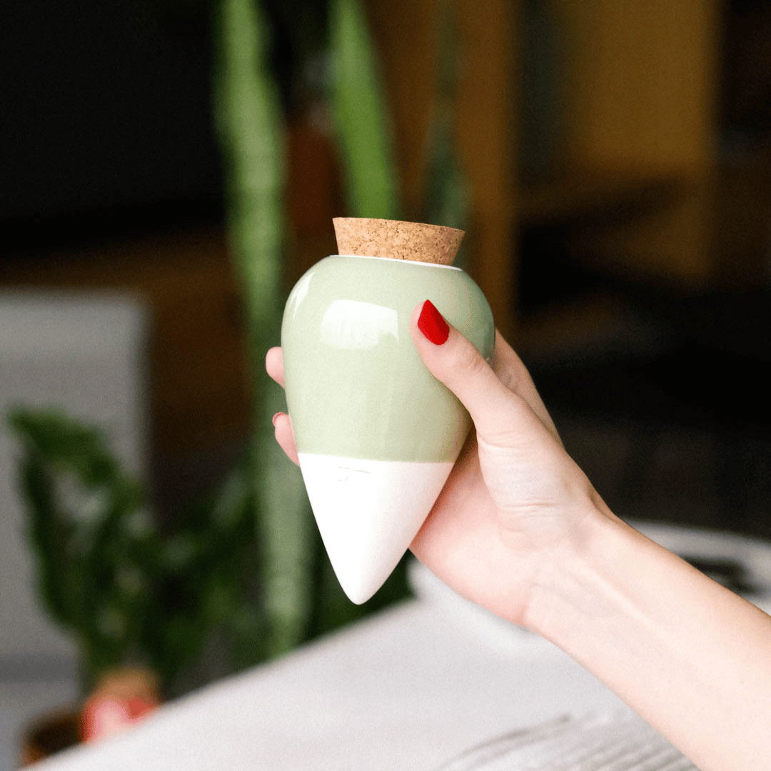 Hand holding green Pepin Olla.