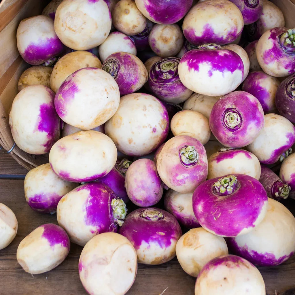 Grow Turnips from Seed