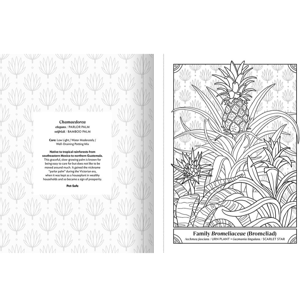 Happy Houseplant Coloring Book Chamaedora