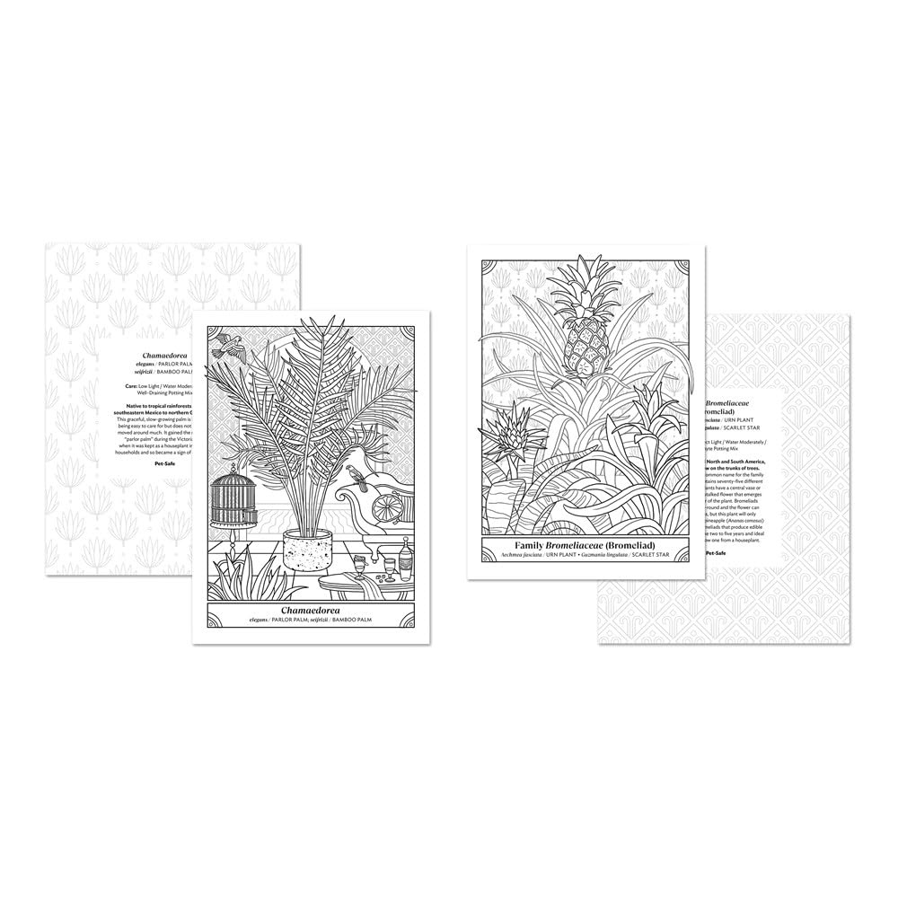 Happy Houseplant Coloring Book Family Pages