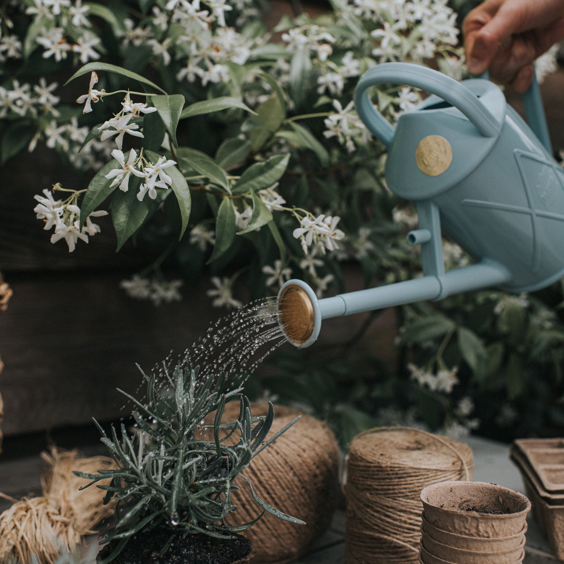 Haws Bartley Burbler Watering Can Duck Egg Blue
