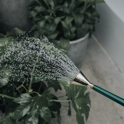 Haws Brass Potting Rose Coarse Spray