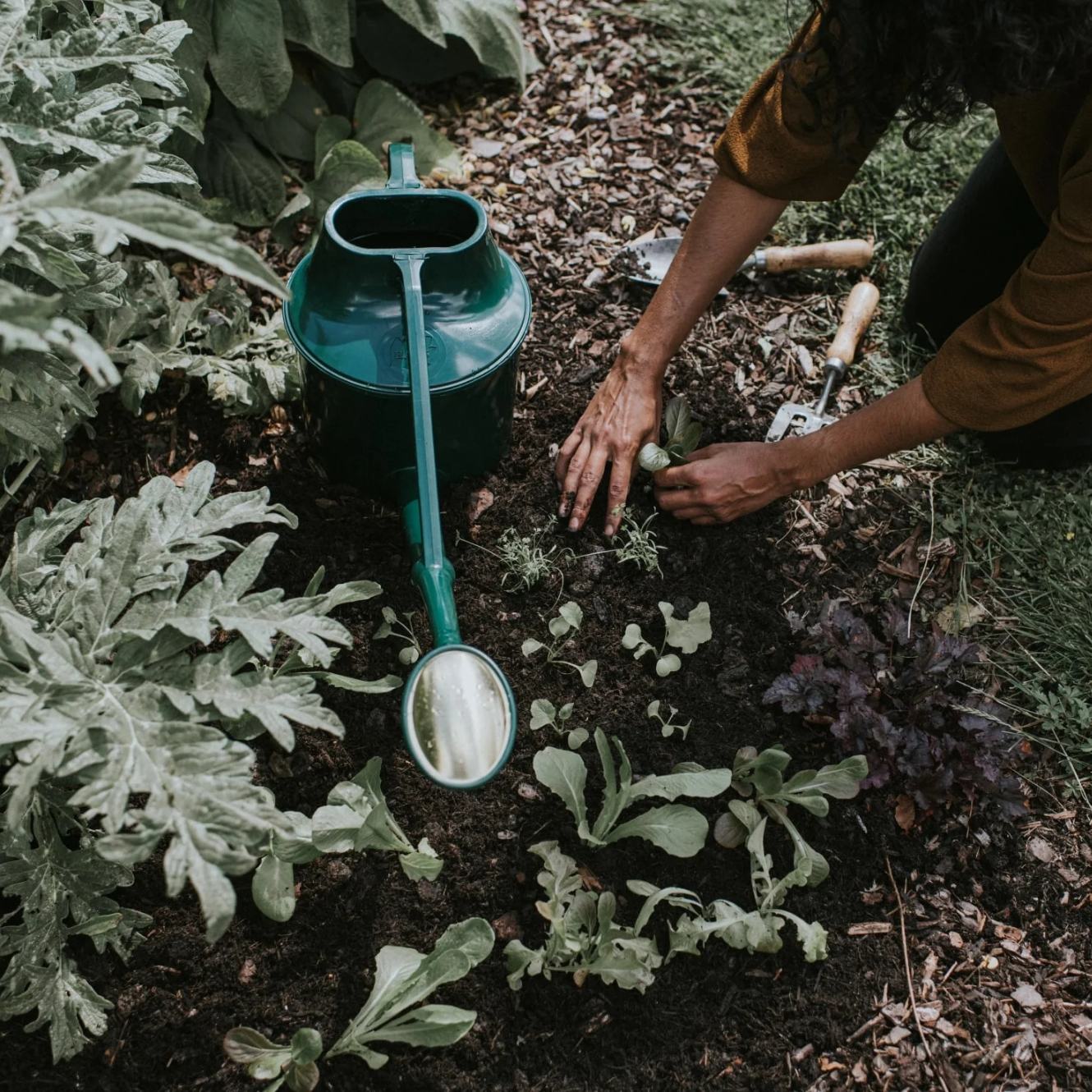 Gardener with Haws Cradley Cascader Watering Can