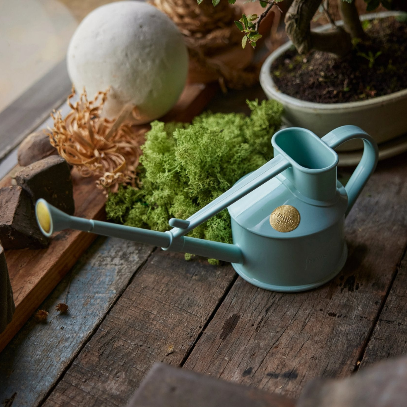 Haws Langley Sprinkler Plastic Watering Can in Duck Egg Blue
