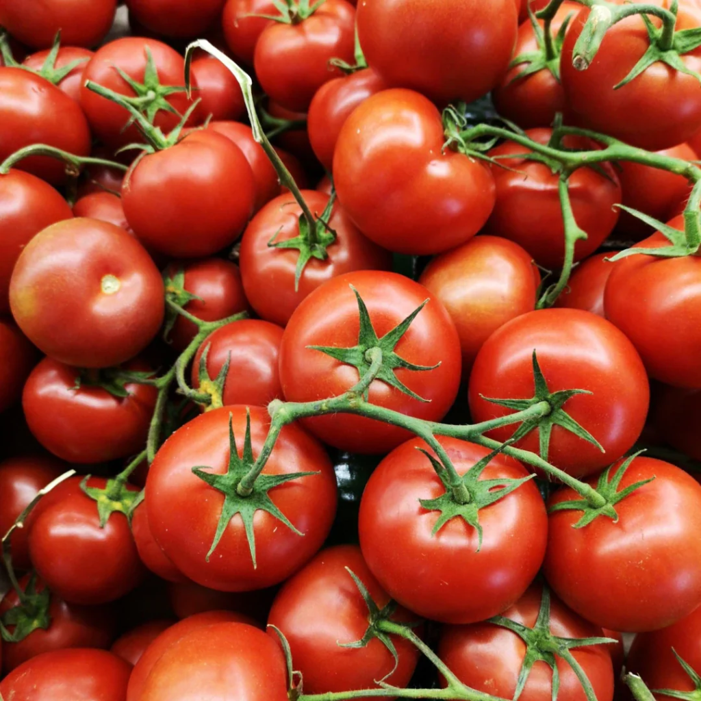 Home Grown Tomatoes