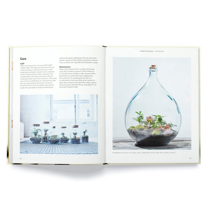 How to Plant a Room: and Make Grow a Happy Home Page on Plants in Glass