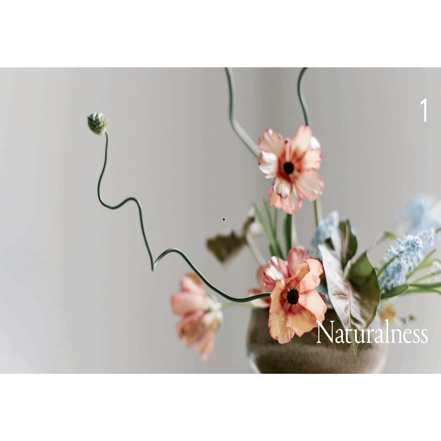 Ikebana Unbound Photo Page - Naturalness