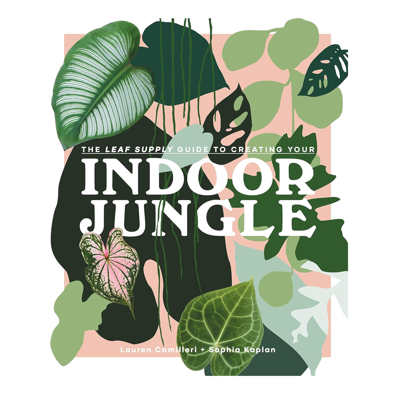 Indoor Jungle Book Cover