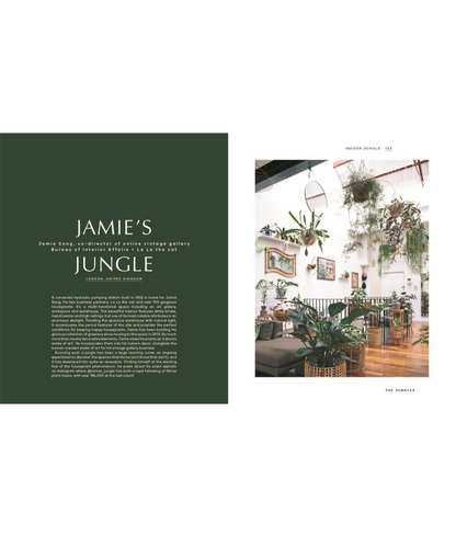 Indoor Jungle Jamie's Jungle