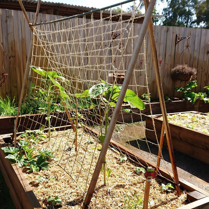 Jute Pea & Bean Support Net with Garden Structure