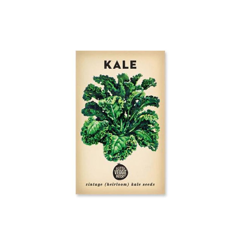 Kale 'Dwarf Blue' Heirloom Seeds