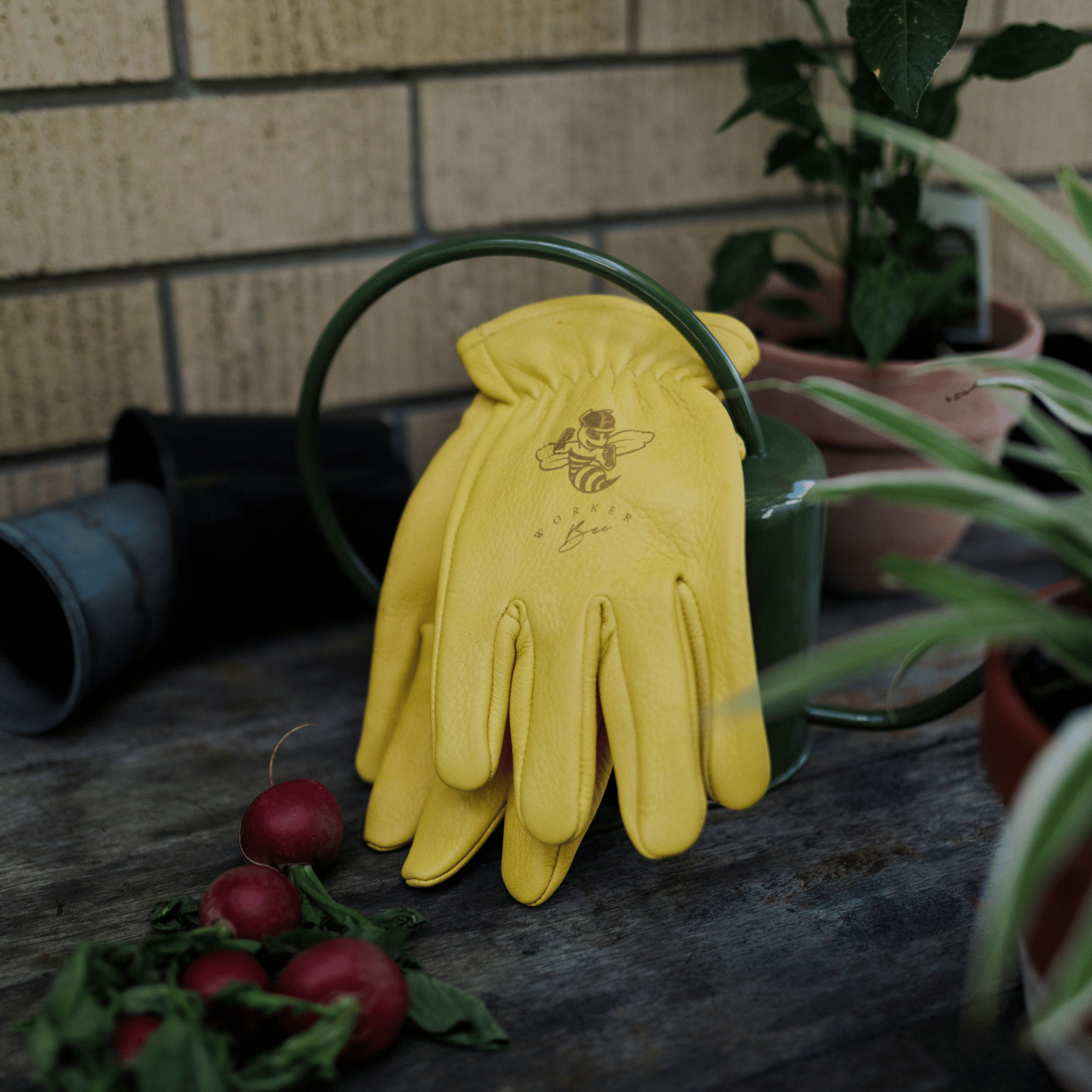 Keepers Worker Bee yellow leather gardening gloves resting on watering can.