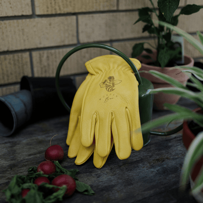 Keepers Worker Bee yellow leather gardening gloves resting on watering can.