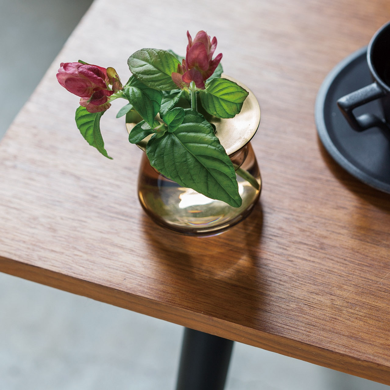 Kinto Small Brown Luna Propagation Vase with Flower