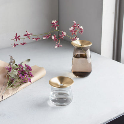 Kinto Luna Propagation Vases in Clear and Brown