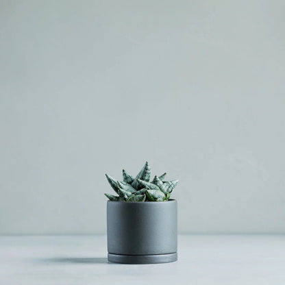 Kinto Plant Pot 191 Dark Grey 105mm Succulent