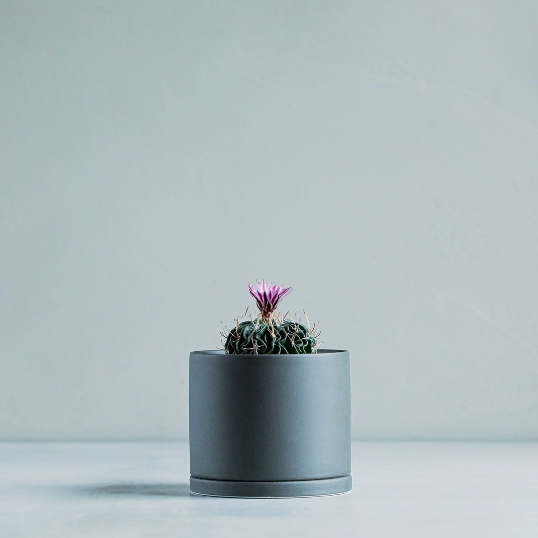 Kinto Plant Pot 191 Dark Grey 135mm Cactus