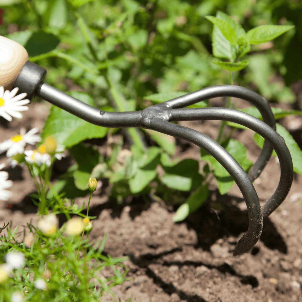 Krumpholz 3-Tine Garden Soil Cultivator