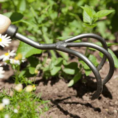 Krumpholz 3-Tine Garden Soil Cultivator