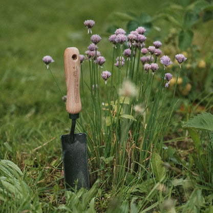 Gardening with Krumpholz Slim Planting Trowel Head