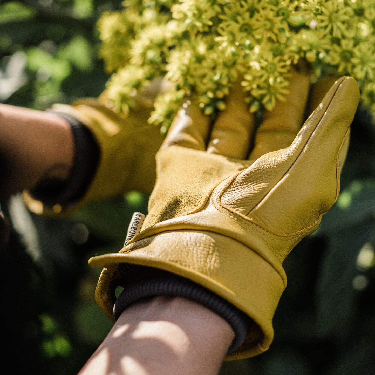 Gardening with Barebones Living Kunar Utility Gloves