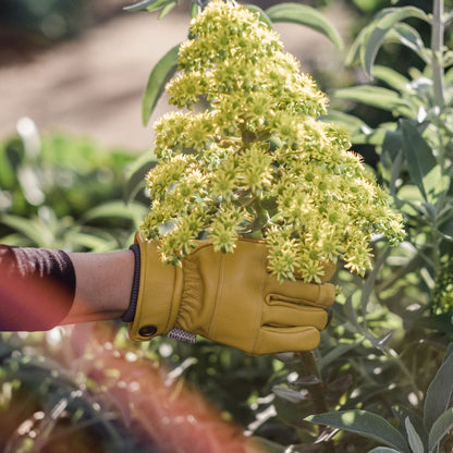 Barebones Quality Gardening Gloves