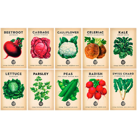 Little Veggie Patch Co. Autumn Seed Bundle